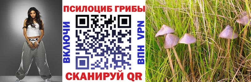 OMG tor  Талдом  Псилоцибиновые грибы ЛСД 