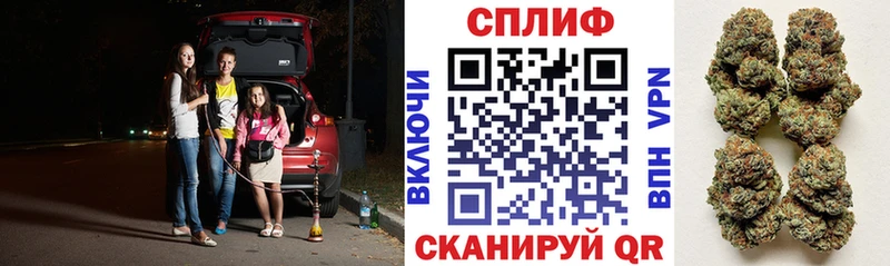 mega ССЫЛКА  Талдом  Марихуана семена 